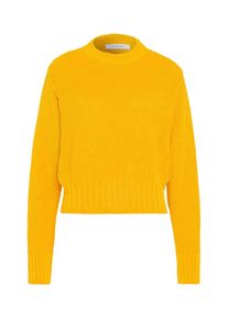 IVY & OAK IVY & OAK, Damen Cropped Jumper, Gelb