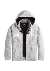 Hollister, Herren Sweatjacke, Grau