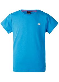 DIDRIKSONS 1913 DIDRIKSONS1913, T-Shirt 'Skreia', Royalblau