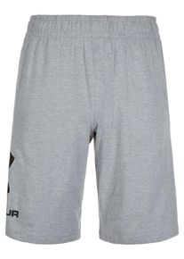 Under Armour, Herren Trainingsshort, Grau
