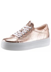 Arizona, Damen Schn&uuml;rer, Rosegold