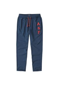 Abercrombie & Fitch Abercrombie & Fitch, Herren Hose 'FOREVER LOGO CLASSIC PANT DUAL 1CC', Blau
