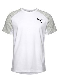 Puma, Herren T-Shirt 'Evostripe', Graumeliert / Schwarz / Wei&szlig;