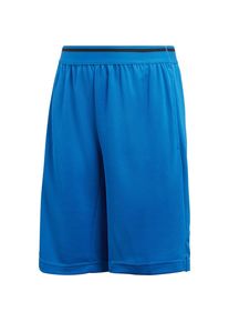 adidas Performance, Trainingsshorts, Blau