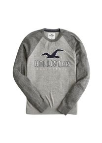Hollister, Herren Pullover 'CORE GRAPHIC CREW 4CC', Grau