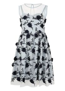 Apart, Damen Cocktailkleid, Azur / Schwarz