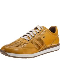 Gordon & Bros Gordon & Bros, Herren 'Conte' Sneakers Low, Senf