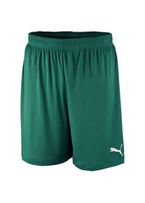 Puma, Herren Shorts Velize, Gr&uuml;n