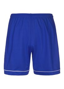 adidas Performance, Herren Shorts 'Squadra 17', Blau