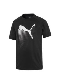 Puma, Herren The CAT Heather Training T-Shirt,