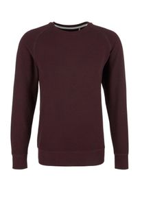 s.Oliver RED LABEL, Herren Sweatshirt, Dunkelgrau / Weinrot