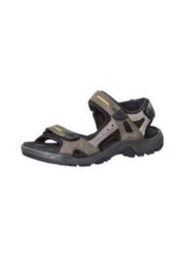 Ecco, Herren Outdoorsandalen, Greige / Schwarz