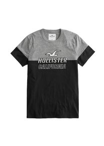 Hollister, Herren Shirt 'ICONIC TECH RETRO BLOCK', Grau / Schwarz / Weiß