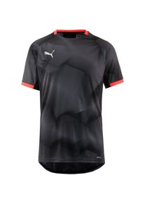 Puma, Herren Funktionsshirt, Grau / Rot / Schwarz