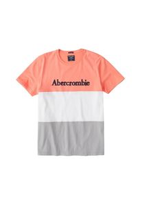 Abercrombie & Fitch Abercrombie & Fitch, Herren Shirt 'LEGACY', Hellgrau / Koralle