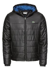 Lacoste, Herren Steppjacke ' Blouson', Schwarz