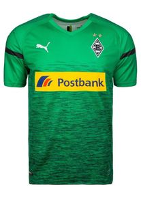 Puma, Herren Trikot 'Borussia Mönchengladbach 3rd 2018/2019', Grün / Mischfarben