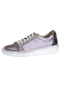 Andrea Conti, Damen Sneaker, Taupe / Basaltgrau / Silbergrau / Wei&szlig;