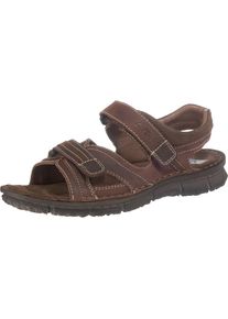 Ara, Herren Sandalen 'Fabius Komfort', Braun / Schwarz