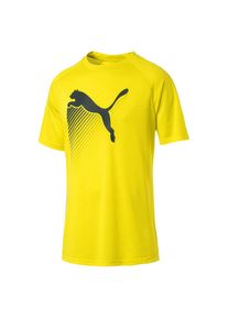 Puma, Herren T-Shirt, Gelb