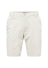 IZOD, Herren Shorts 'SALTWATER', Beige