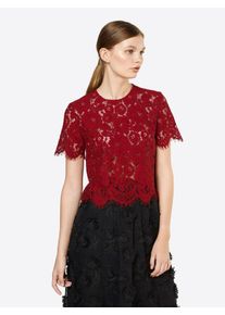 IVY & OAK IVY & OAK, Damen Spitzenshirt 'Boxy', Rot