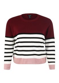 New Look Curves, Damen Pullover '24.08 CURVES MARIE CLEAN COLOUR BLOCK JUMPER P20', Bordeaux