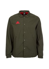 adidas Performance, Herren Jacke Coach, Khaki