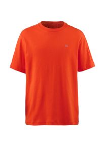Calvin Klein, Herren T-Shirt, Grau / Orangerot