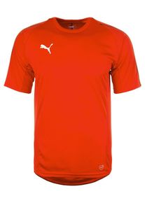 Puma, Herren Trainingsshirt, Dunkelorange