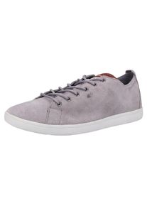 Boxfresh, Herren Sneaker, Grau