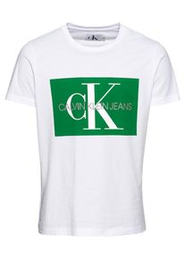 Calvin Klein Jeans, Herren Poloshirt, Gr&uuml;n / Wei&szlig;