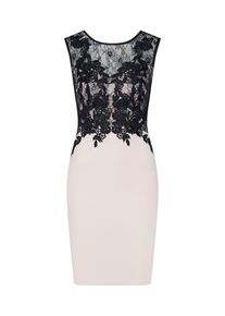 Lipsy, Damen Cocktailkleid, Rosa / Schwarz