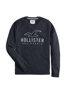 Hollister, Herren Pullover 'CORE GRAPHIC CREW 4CC', Navy