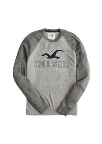 Hollister, Herren Pullover 'CORE GRAPHIC CREW 4CC', Grau