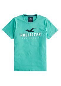 Hollister, Herren Shirt 'ICONIC SS TECH SOLIDS', Mint