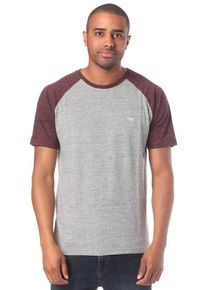Iriedaily, Herren T-Shirt 'Chamisso Rugged', Grau / Beere
