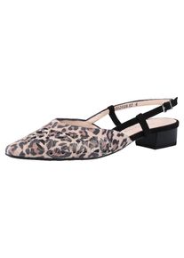 Peter Kaiser, Damen Pumps, Braun / Cappuccino / Schwarz