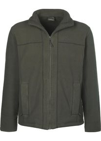 Jack Wolfskin, Herren Jacke 'Frozen Morning', Grün