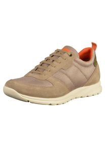 Geox, Herren Sneaker, Beige / Dunkelbeige