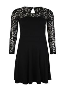 Anna Field Curvy, Damen Kleid 'Jersey Dress with lace longsleeves', Schwarz