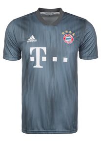 adidas Performance, Herren Trikot 'FC Bayern M&uuml;nchen', Taubenblau