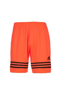 adidas Performance, Shorts 'Entrada 14', Orange