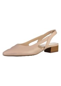 Peter Kaiser, Damen Pumps, Puder