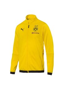 Puma, Herren Trainingsjacke 'Borussia Dortmund', Gelb