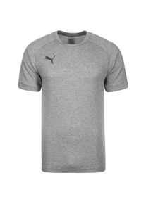 Puma, Herren Trainingsshirt 'Ascension Casuals', Grau