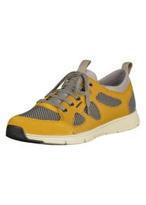 Geox, Herren Sneaker, Senf / Grau