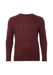 Tom Tailor Denim, Herren Pullover, Burgunder