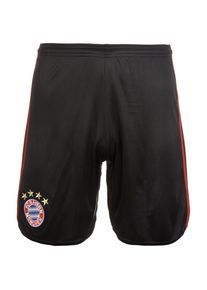adidas Performance, Herren Torwartshorts 'FC Bayern München', Schwarz