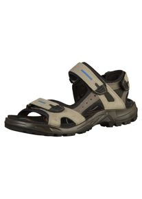 Ecco, Herren Sandale, Grau / Schwarz